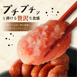 辛子明太子(切並) 500g たらこ めんたい...の詳細画像1
