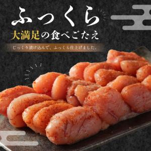 辛子明太子(切並) 500g たらこ めんたい...の詳細画像2