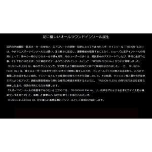 フュージョンフレキシライト FUSION-FL...の詳細画像1