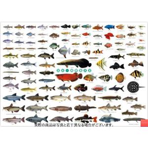 魚 リアル ベビー キッズ用お風呂 バス用品 の商品一覧 ベビー キッズ マタニティ 通販 Yahoo ショッピング