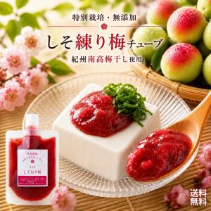 竹内農園 しそねり梅 180g 1個 チューブ 塩分約20% ねり梅 練り梅 梅肉 特別栽培 紀州南高梅干 無添加 梅 うめ キャップ付 万能調味料 梅にく 練梅 送料無料