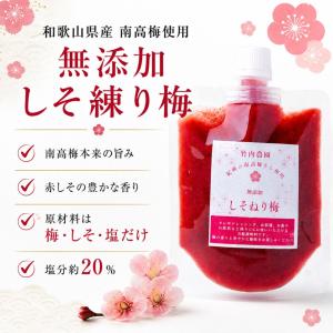 竹内農園 しそねり梅 180g 1個 チューブ...の詳細画像1