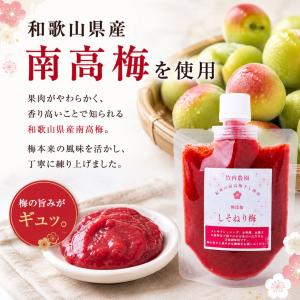竹内農園 しそねり梅 180g 1個 チューブ...の詳細画像2