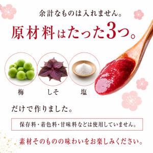 竹内農園 しそねり梅 180g 1個 チューブ...の詳細画像3