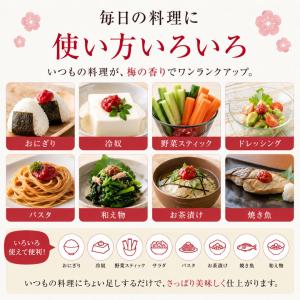 竹内農園 しそねり梅 180g 1個 チューブ...の詳細画像4