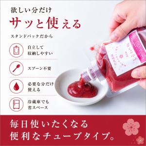 竹内農園 しそねり梅 180g 1個 チューブ...の詳細画像5