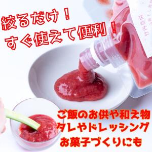 竹内農園 練り梅 しそねり梅 180g 2種セ...の詳細画像2