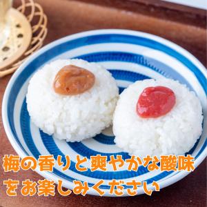 竹内農園 練り梅 しそねり梅 180g 2種セ...の詳細画像3