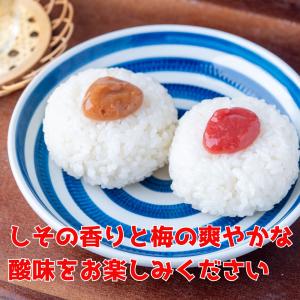 竹内農園 練り梅 しそねり梅 180g 2種セ...の詳細画像4