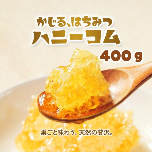 巣蜜 (ハンガリー産) 400g (400g×1個) 巣蜜 はちみつ 蜂蜜 蜂の巣 コムハニー ミツ...