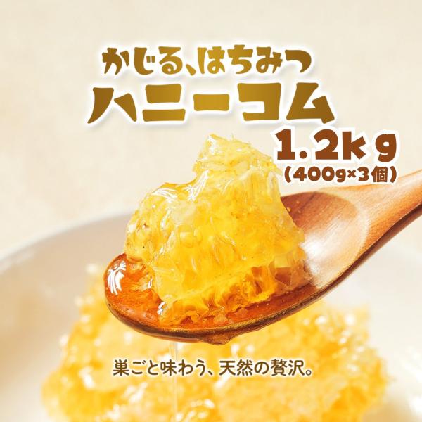 巣蜜 (ハンガリー産) 1.2kg (400g×3個) 巣蜜 はちみつ 蜂蜜 蜂の巣 コムハニー ミ...