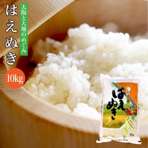 【在庫処分価格！】令和7年産 送料無料 山形県産 はえぬき 10kg 米 白米 爆買