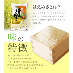 【在庫処分価格!】令和7年産 送料無料 山形県...の詳細画像2