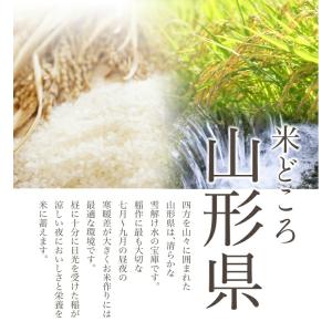 【在庫処分価格!】令和7年産 送料無料 山形県...の詳細画像3
