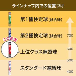 RSL ファーストステップ バドミントンシャト...の詳細画像2