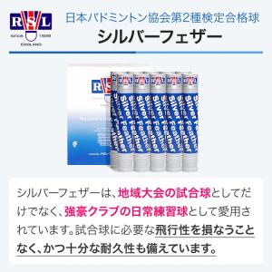RSL シルバーフェザー バドミントンシャトル...の詳細画像1