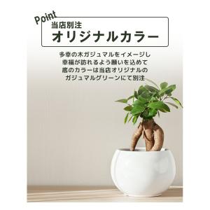 ホーエイ ハートフルキャリー 限定オリジナルカ...の詳細画像3