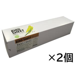 2個セット Ｐ２＆アソシエイツ 小鳥用シーツ 120枚 グリーン｜アールズマート