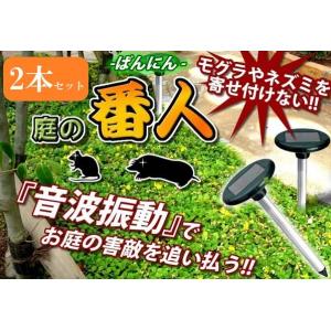 モグラ退治 超音波 庭 害獣対策 駆除 ソーラー充電式 防水 もぐら 撃退 簡単　zxl1163