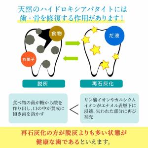 キラルンパウダー 55g 歯磨き粉 詰替え用3...の詳細画像2