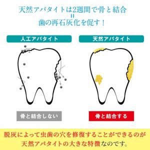 キラルンパウダー 55g 歯磨き粉 詰替え用3...の詳細画像3