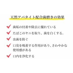 キラルンパウダー 55g 歯磨き粉 詰替え用3...の詳細画像5
