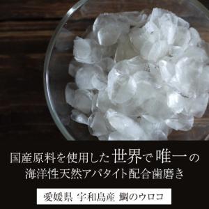 歯の汚れ気になる方へ ホワイトニング パウダー...の詳細画像5