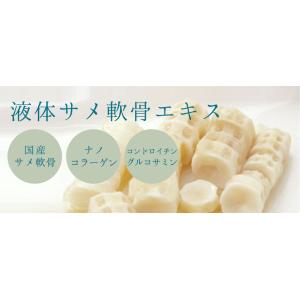 RUKEN液体サメ軟骨エキス 500ml 飲む...の詳細画像1