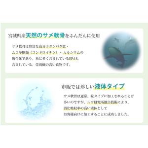RUKEN液体サメ軟骨エキス 500ml 飲む...の詳細画像2
