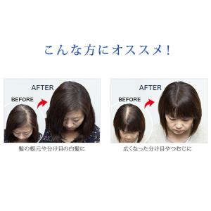 SMHヘアファンデーション 3g ルアン 公式...の詳細画像2