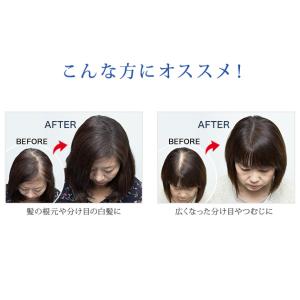 SMHヘアファンデーション 12g ルアン 公...の詳細画像2