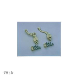 ant lion（アントライオン） リザーバータンクステー brembo RCS