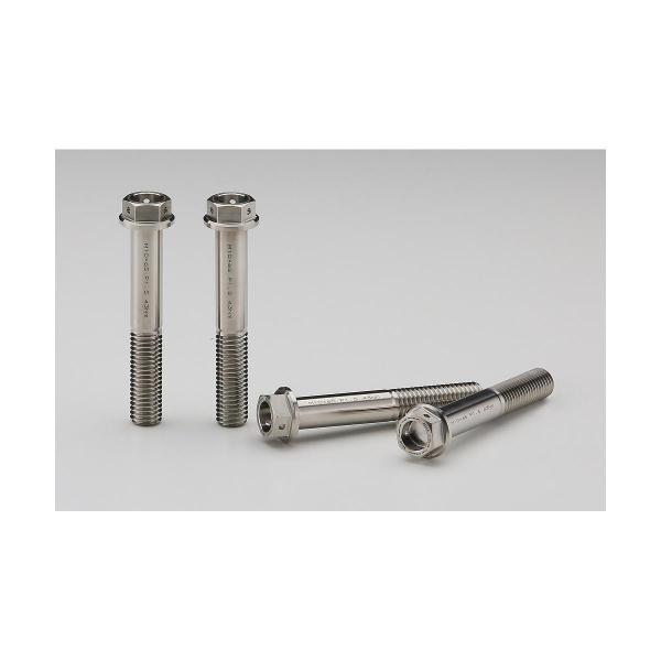 アエラ チタンボルト(Fキャリパーラジアルマウント) M10X65 P1.5(4本)