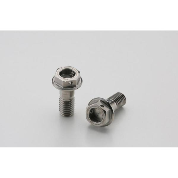 AELLA(アエラ) チタンボルト(Rキャリパーマウント) M8X20 P1.25(2本) AT-D...