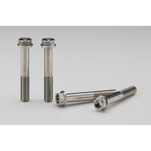 AELLA(アエラ) チタンキャリパーボルト Z900RS/ZX-4R AT-KA001