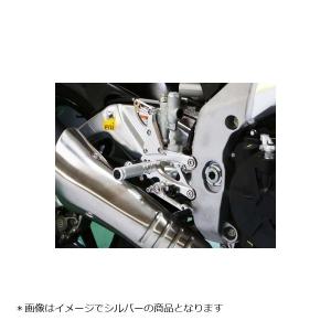 ベビーフェイス バックステップ/ゴールド 5P RSV4 APRC 13-16｜rubbermark