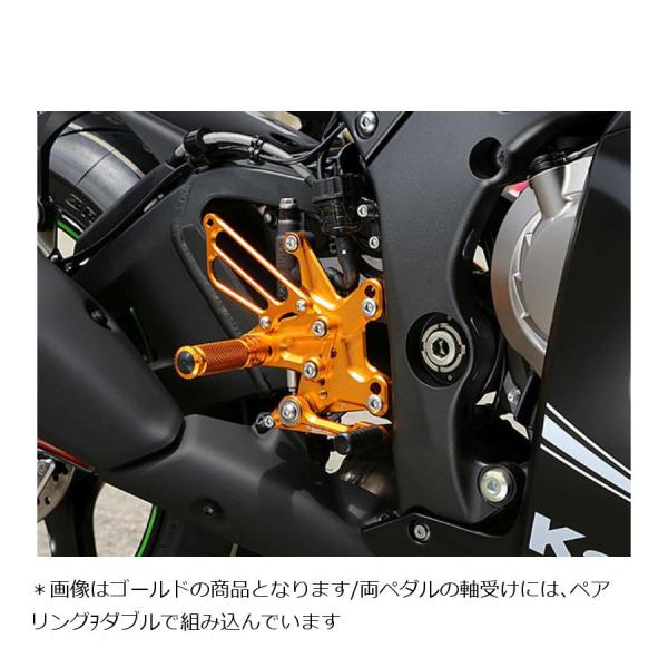 BABYFACE (ベビーフェイス) バックステップ シルバー ZX10R 002-K028SV