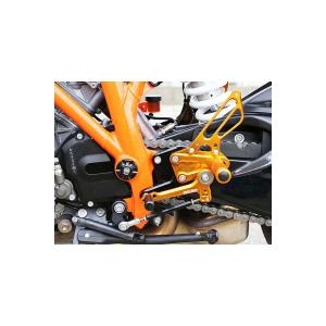 スタビライザー付ステンレスフロントショートフェンダー ペイトン