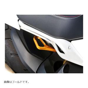 RZ250R シフトシャフトガイドプレート ブラック : Complsah Factory