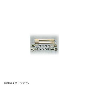 U-KANAYA（ユーカナヤ） CB1300 SUPER BOLD'OR CB1300SF レイダウン