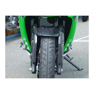 ツルノテクニカルサービス NINJA250 NINJA250R デュアルレーシング