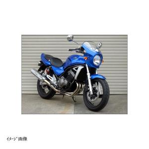 CHIC DESIGN（シックデザイン） ビンテージ F.フェンダー SR400 500