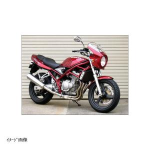 バンディット250/400 ハネタイプ テールカウル GJ74A GK75A ACP