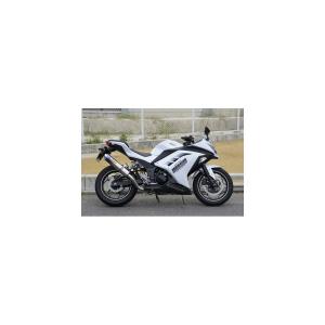 ツルノテクニカルサービス NINJA250 NINJA250R デュアルレーシング