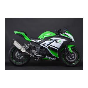 NINJA250 トリックスター JMCA スリップオン TRICKSTER（トリックスター） スリップオンマフラー IKAZUCHI 焼