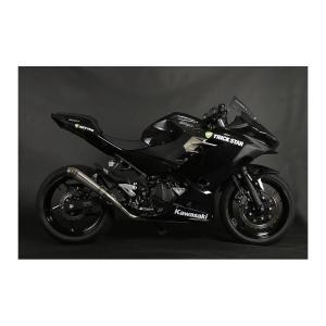 TRICK STAR（トリックスター） スリップオンマフラー IKAZUCHI