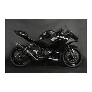 AKRAPOVIC（アクラポビッチ） スリップオンライン カーボン Ninja 250