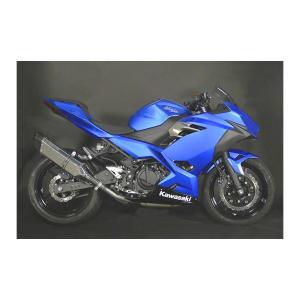 トリックスター レーシングスリップオンマフラー イカヅチステン