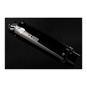マーべリック MV83カーボンサイレンサー/2Pカット MAVERICK（バイク） MAVERICK マーヴェリック MV83カーボン