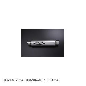 AKRAPOVIC（アクラポビッチ） スリップオンライン (チタン) マフラー